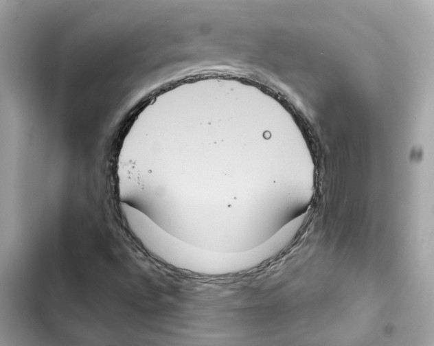 X0000101971496200808151326