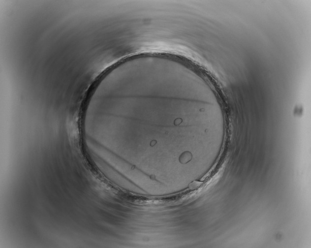 X0000101971497200808151326