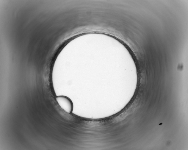 X0000101971499200808151326