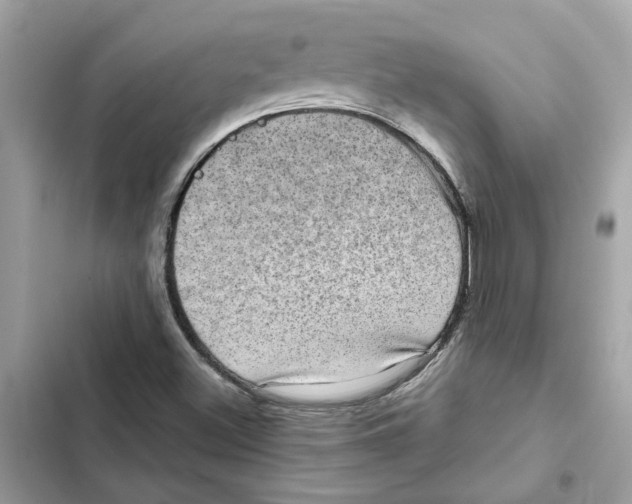 X0000101971500200808151326