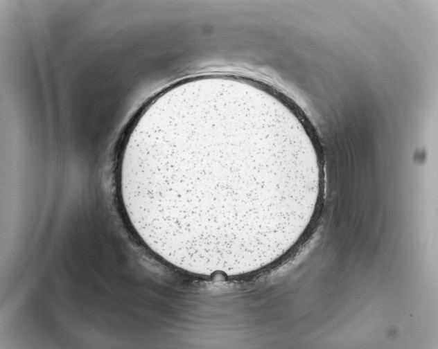 X0000101971501200808151326