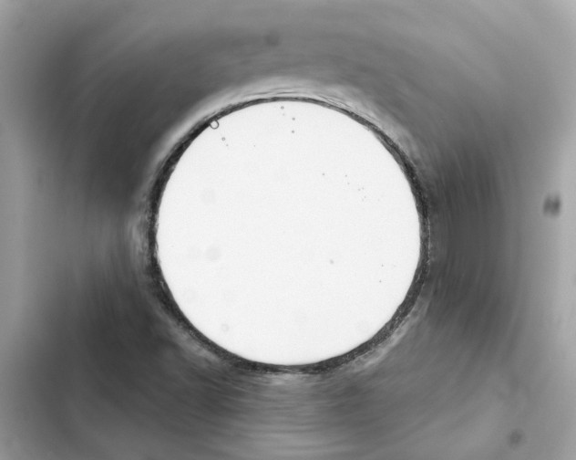 X0000101971502200808151326