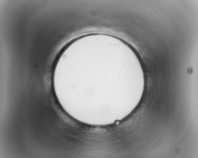 X0000101971503200808151326
