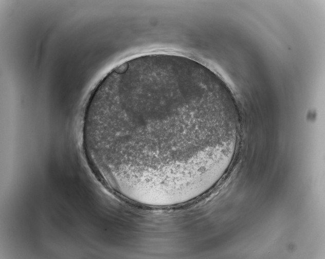 X0000101971504200808151326
