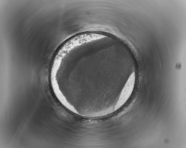 X0000101971505200808151326