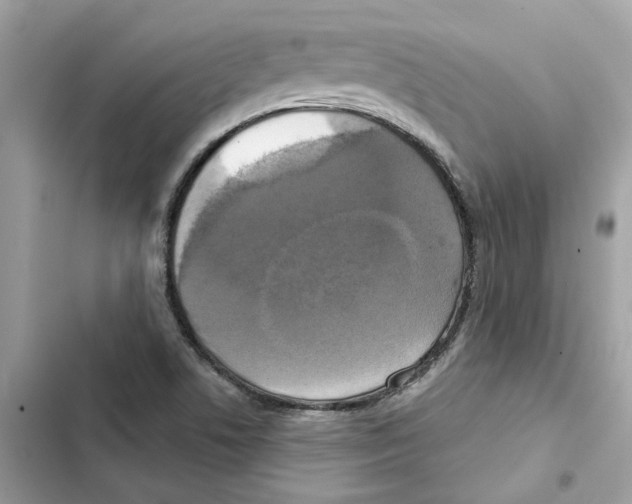 X0000101971506200808151326