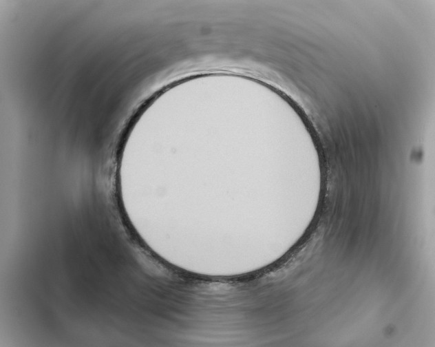 X0000101971507200808151326