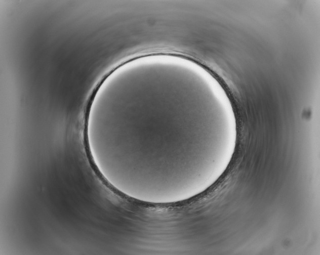 X0000101971508200808151326