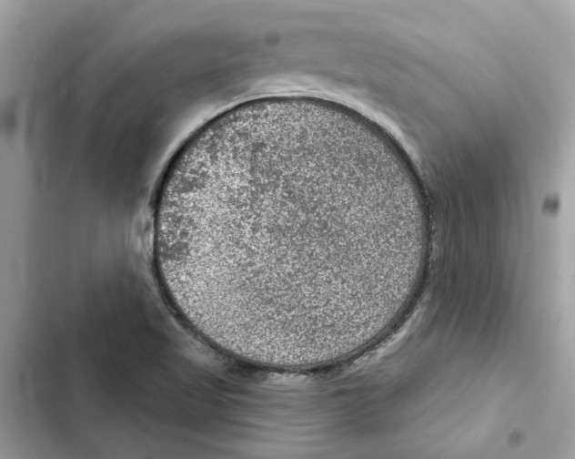 X0000101971509200808151326