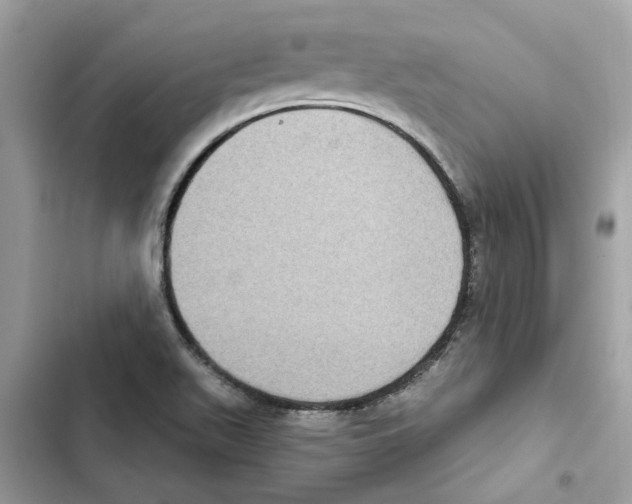 X0000101971511200808151326