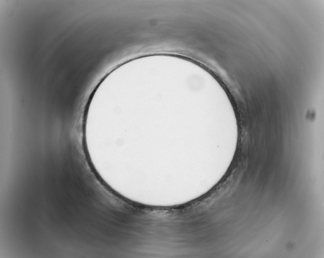 X0000101971512200808151326