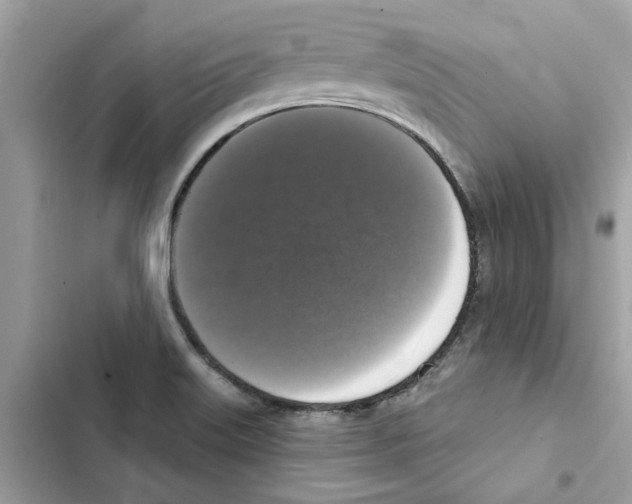 X0000101971515200808151326