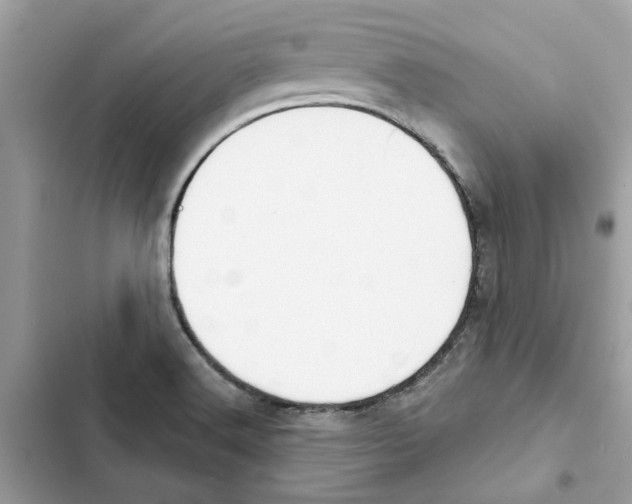 X0000101971516200808151326