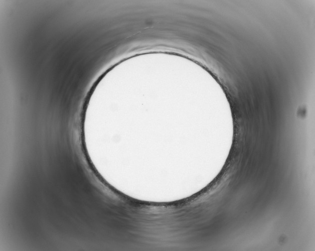 X0000101971518200808151326