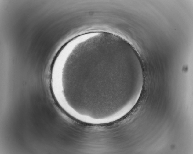 X0000101971519200808151326