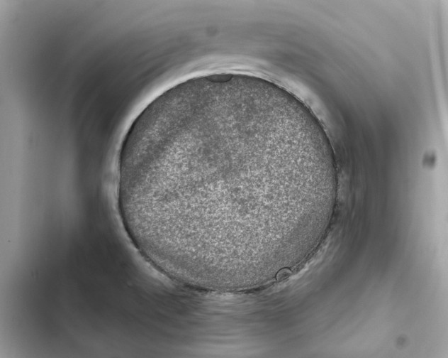 X0000101971520200808151326