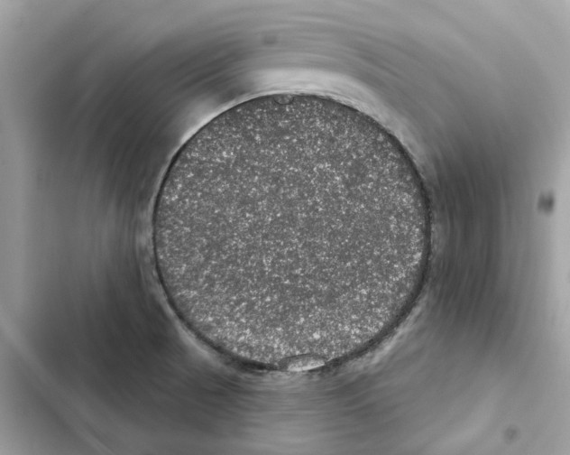 X0000101971521200808151326