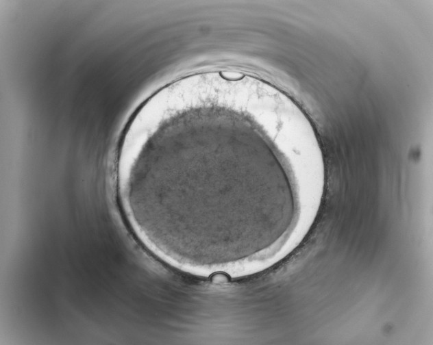 X0000101971522200808151326