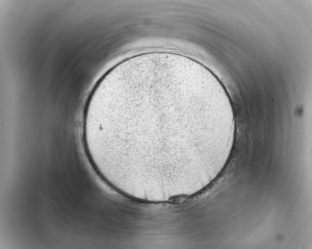 X0000101971523200808151326