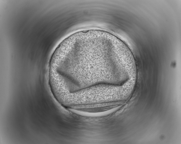 X0000101971524200808151326