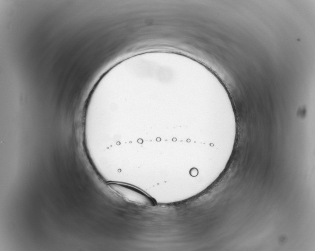 X0000101971526200808151326
