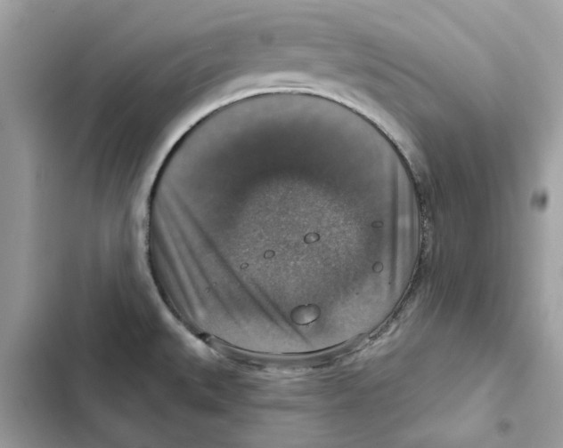 X0000101971527200808151326