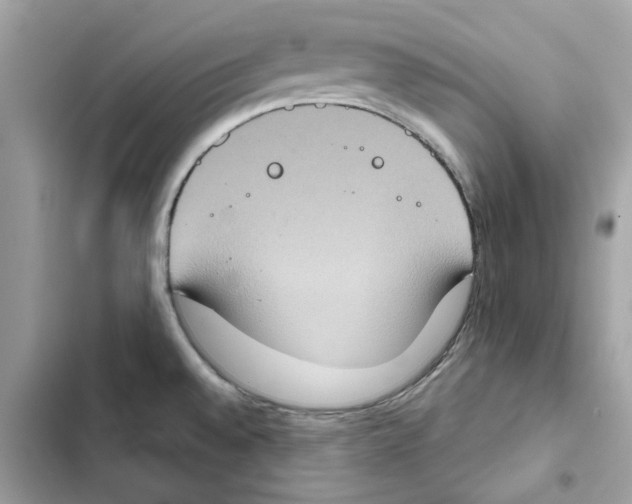 X0000101971528200808151326