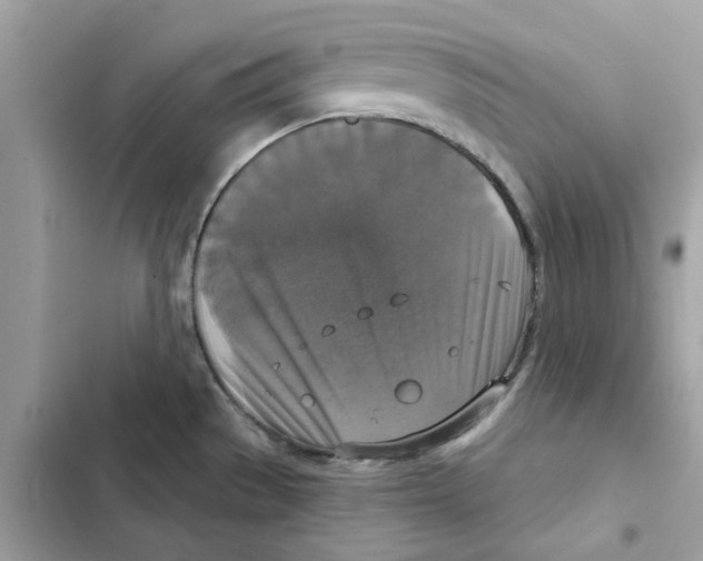 X0000101971529200808151326