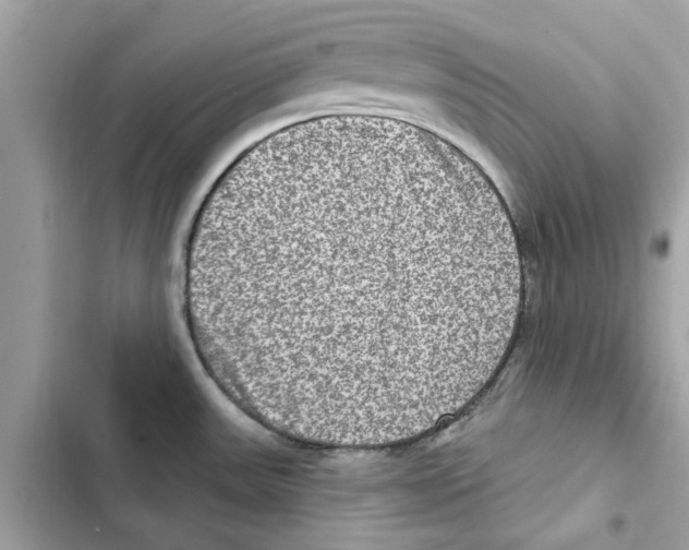 X0000101971531200808151326