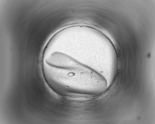 X0000101971532200808151326