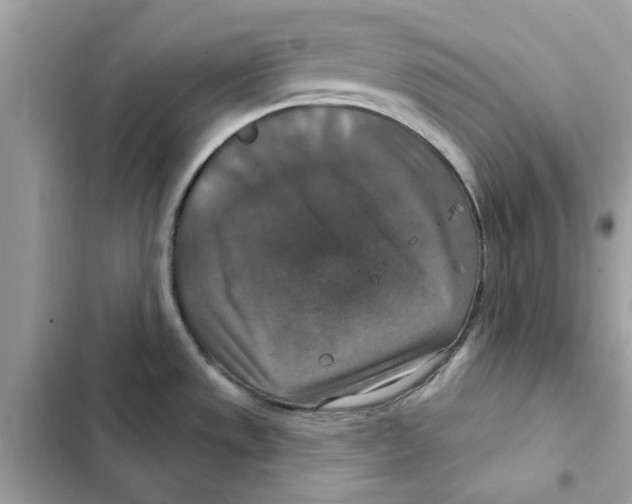 X0000101971533200808151326