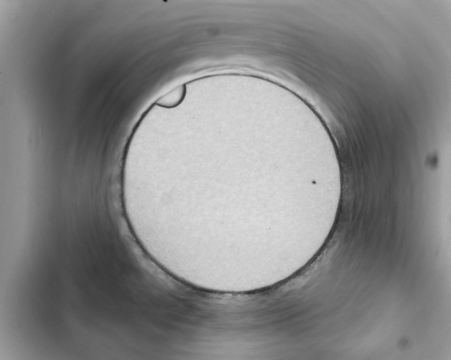 X0000101971534200808151326