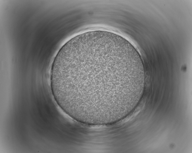 X0000101971535200808151326