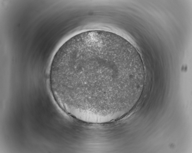 X0000101971536200808151326