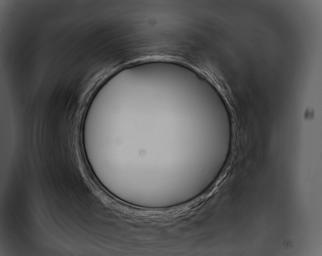 X0000101980001200807180811