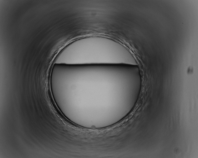 X0000101980002200807180811