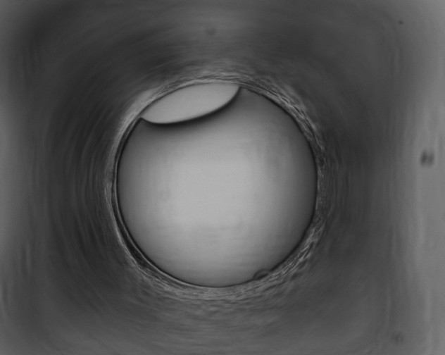 X0000101980003200807180811