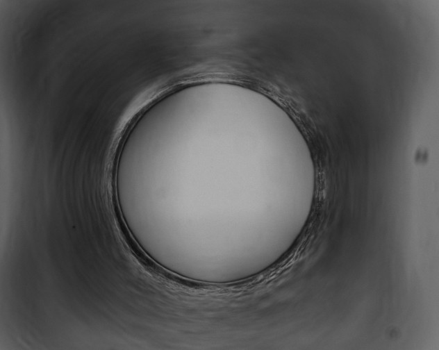 X0000101980004200807180811