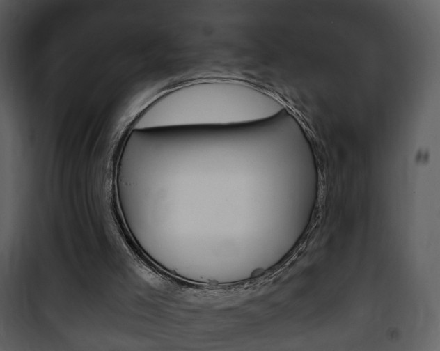 X0000101980005200807180811