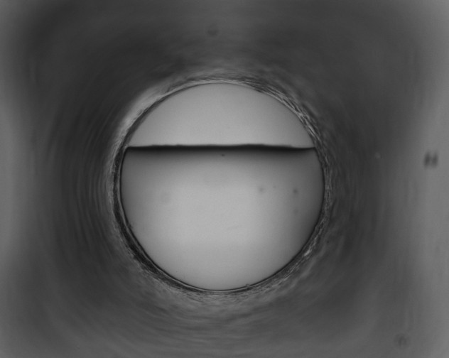 X0000101980006200807180811