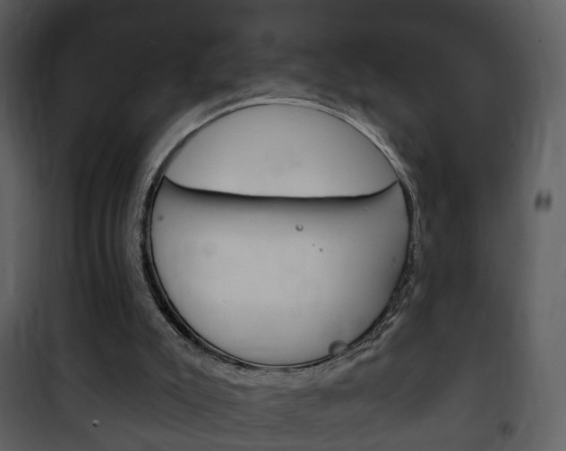 X0000101980007200807180811