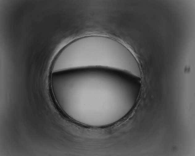 X0000101980008200807180811