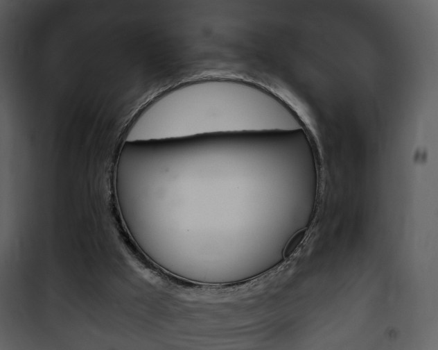 X0000101980009200807180811