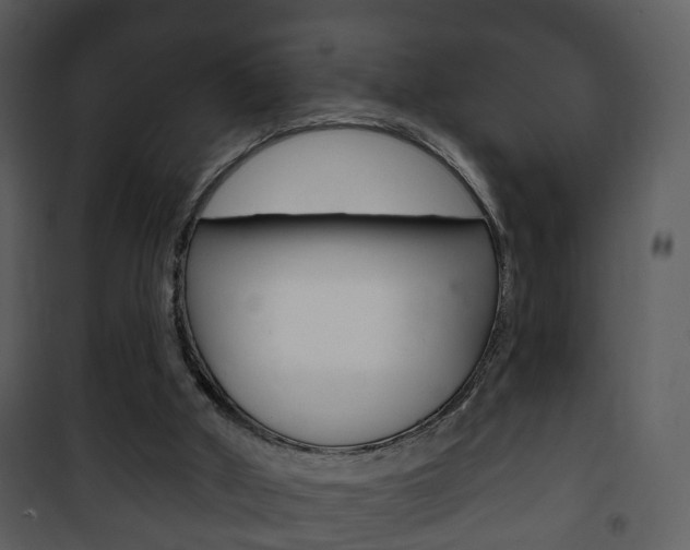 X0000101980010200807180811