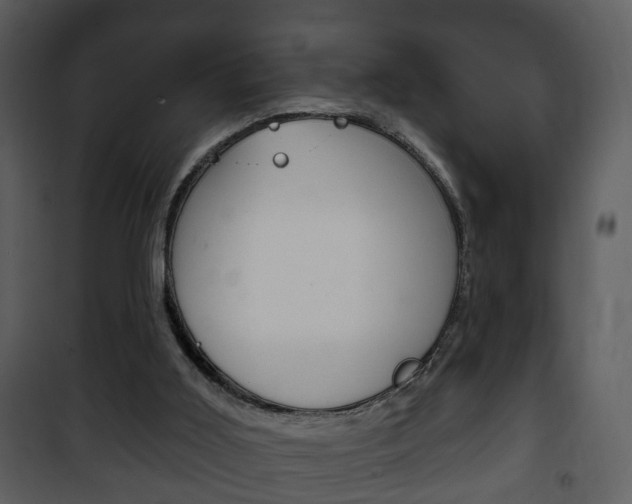 X0000101980011200807180811