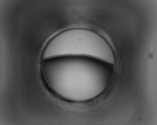 X0000101980012200807180811