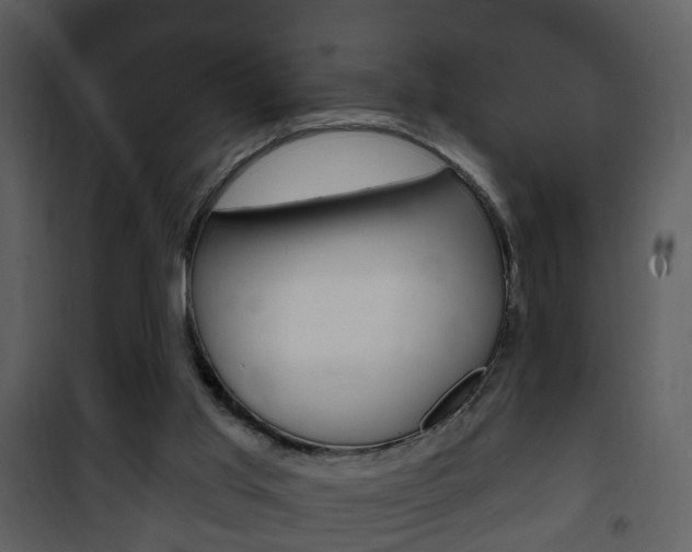 X0000101980013200807180811