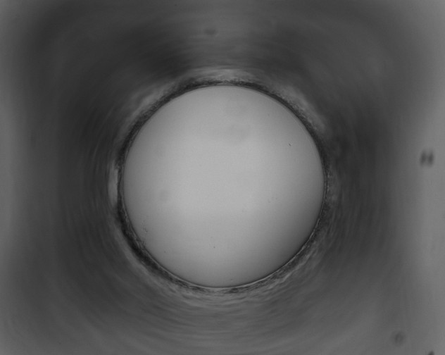 X0000101980014200807180811