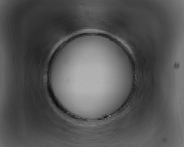 X0000101980015200807180811