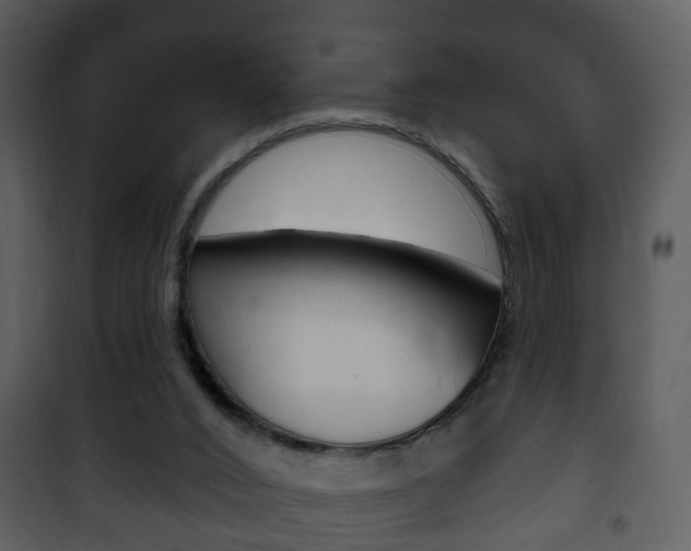 X0000101980016200807180811